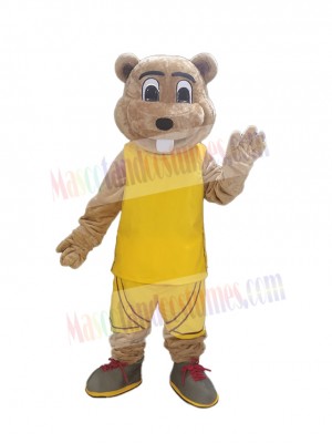 Gopher mascot costume