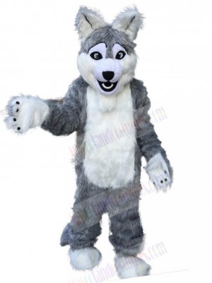 Wolf mascot costume