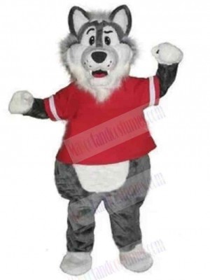 Wolf mascot costume