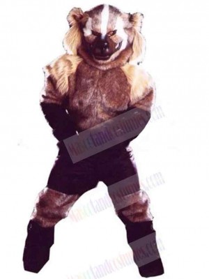 Wolf mascot costume