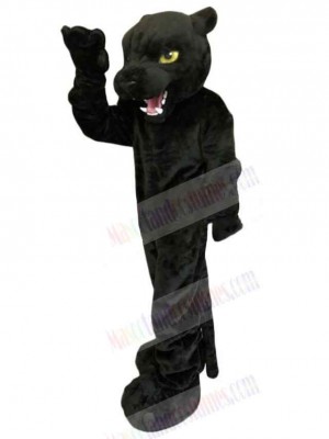 Panther mascot costume