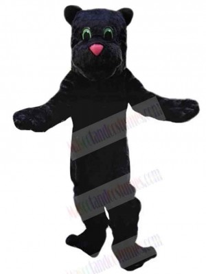 Panther mascot costume