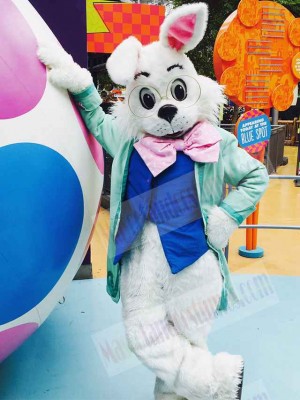 Wendell Rabbit mascot costume