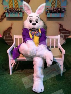 Wendell Rabbit mascot costume