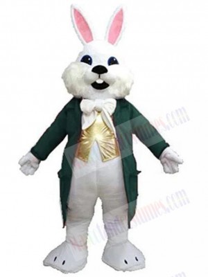 Easter Bunny mascot costume