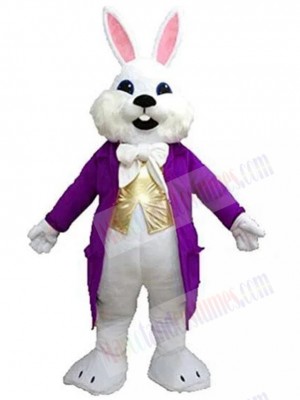 Easter Bunny mascot costume