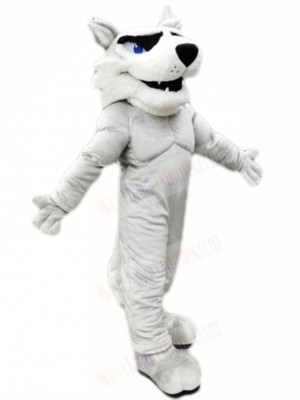 Grey Husky Dog Mascot Costumes Animal