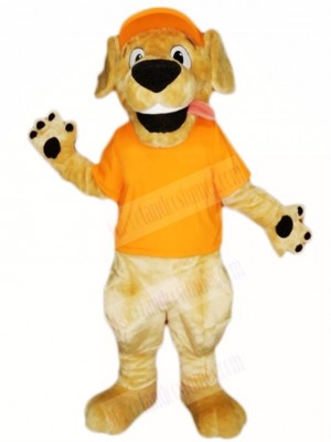 Retriever Dog with Orange Hat and Shirt Mascot Costumes Animal