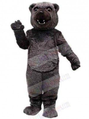 Bear mascot costume