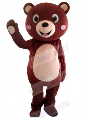 Bear mascot costume