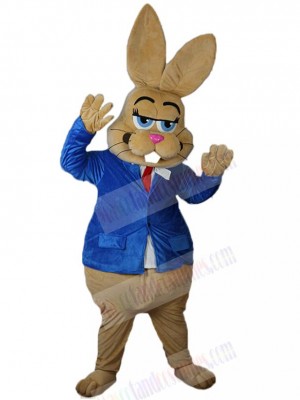 Bunny mascot costume