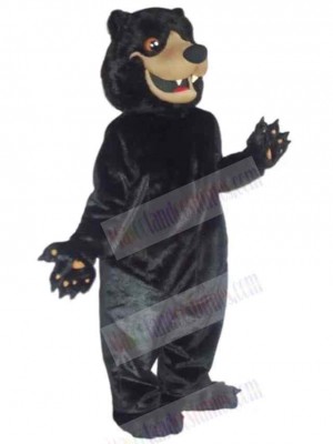 Bear mascot costume