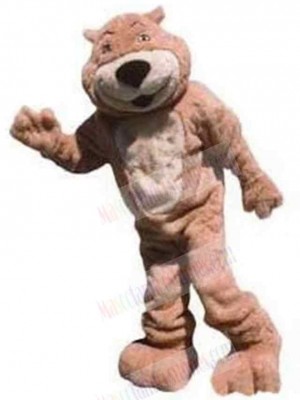 Bear mascot costume