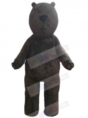 Bear mascot costume