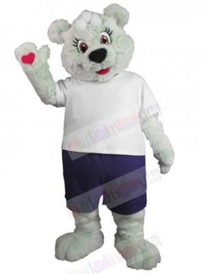Bear mascot costume