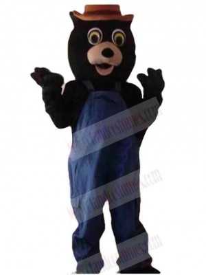 Bear mascot costume