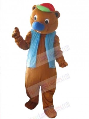 Bear mascot costume