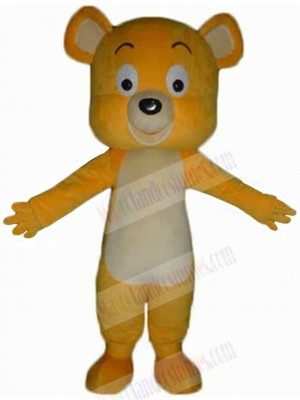 Bear mascot costume