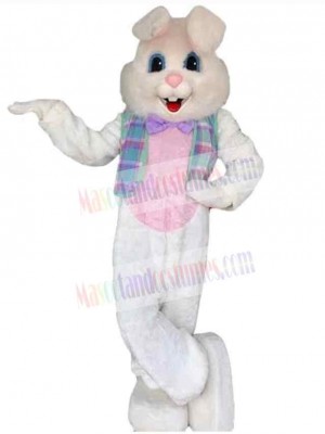 Cool Bunny Rabbit Mascot Costume Animal