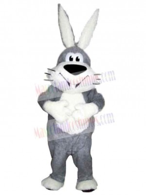 Happy Rabbit Mascot Costume Animal