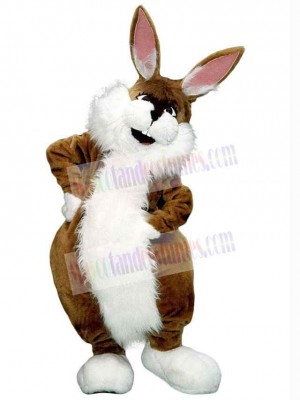 Brown Rabbit Mascot Costume Animal