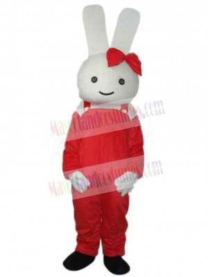Easter Bunny Rabbit mascot costume