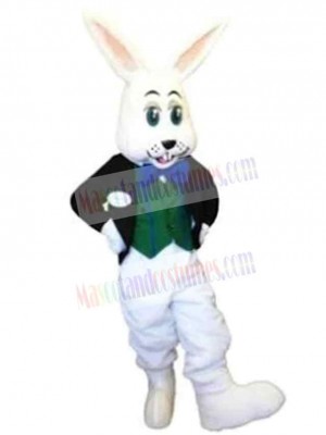 Easter Bunny Rabbit mascot costume