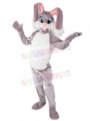 Easter Bunny Rabbit mascot costume