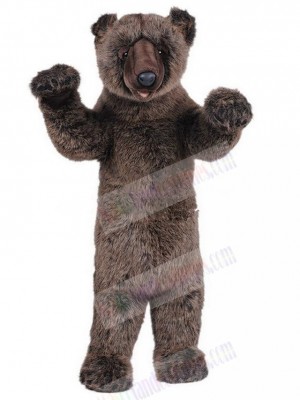 Bear mascot costume