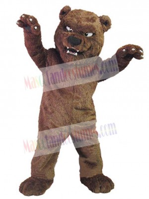 Bear mascot costume