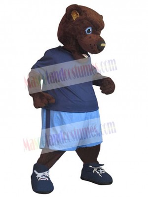 Bear mascot costume