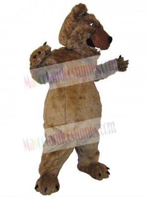 Bear mascot costume