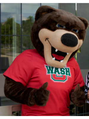 Bear mascot costume