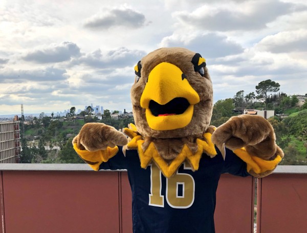Eagle mascot costume