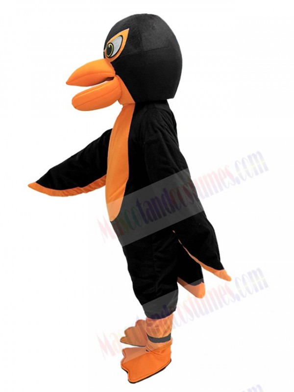 Falcon mascot costume