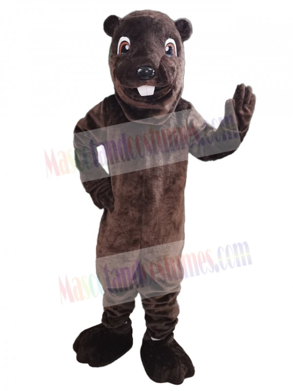 Beaver mascot costume