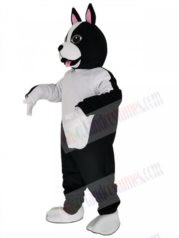 Terrier Dog mascot costume