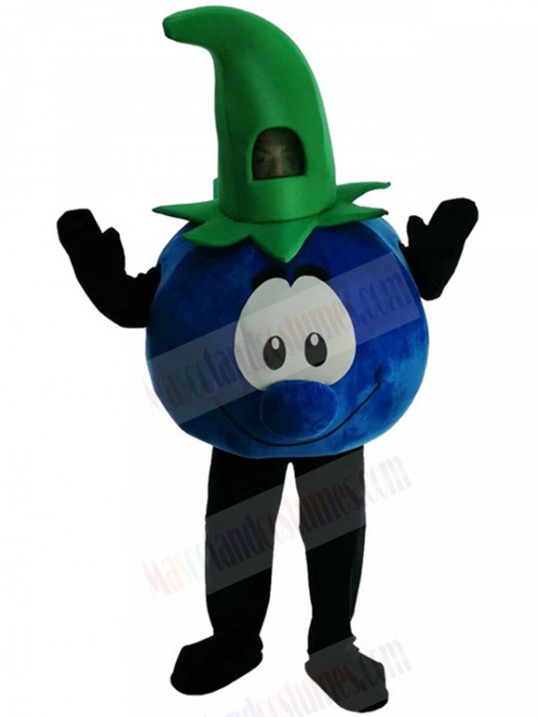 Blueberry Mascot Costume