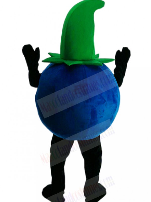 Blueberry Mascot Costume