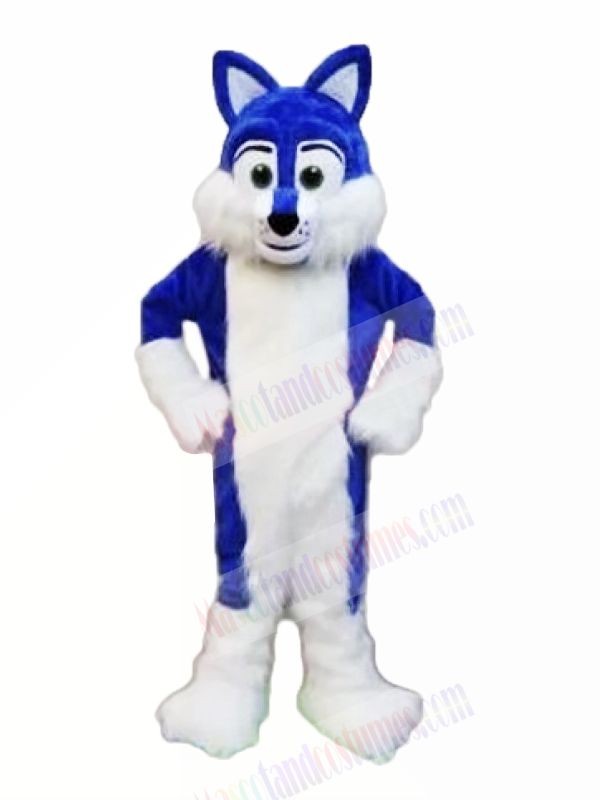Blue Furry Husky Mascot Costumes Animal