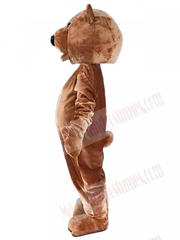 Bear mascot costume