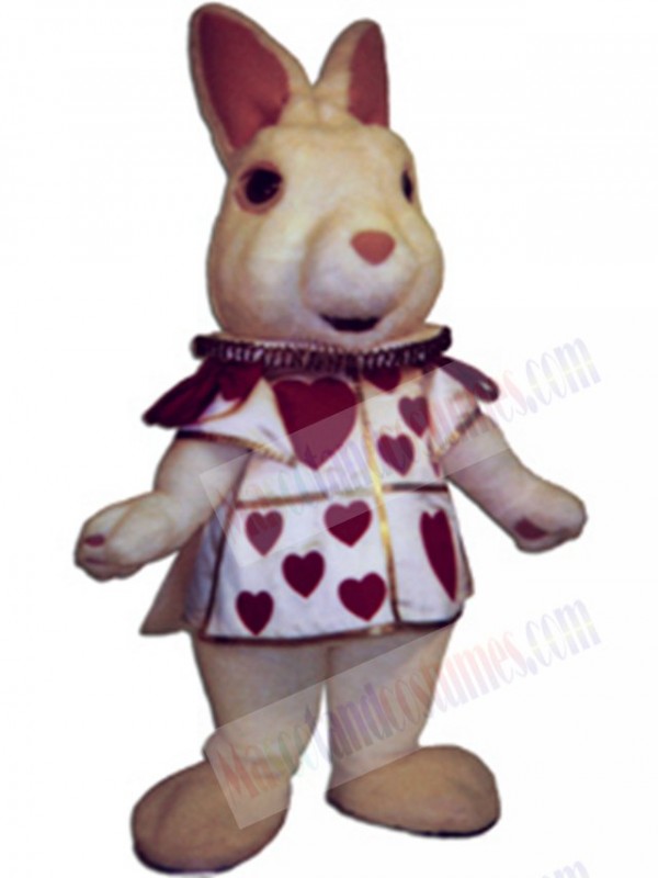 Bunny Rabbit mascot costume
