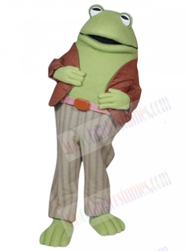 Frog mascot costume