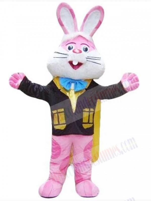 Easter Bunny Rabbit mascot costume