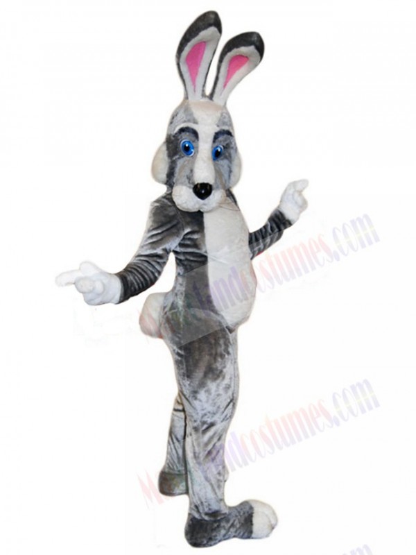 Easter Bunny Rabbit mascot costume