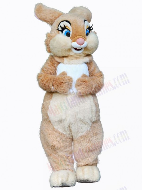 Easter Bunny Rabbit mascot costume