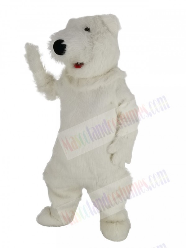 Polar Bear mascot costume