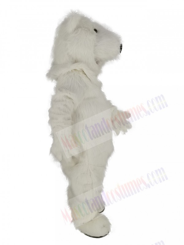 Polar Bear mascot costume