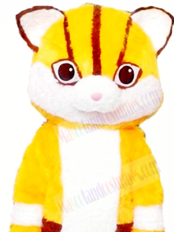Tiger Mascot costumes 