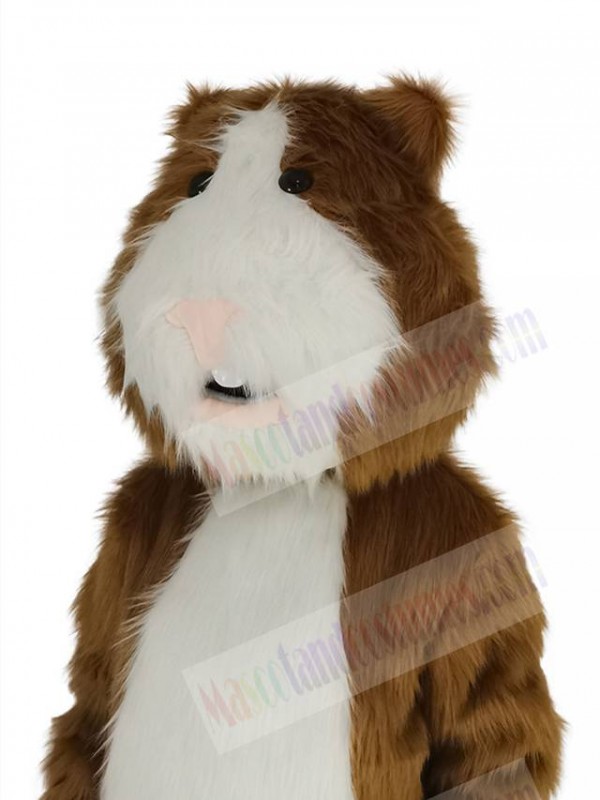 Hamster mascot costume